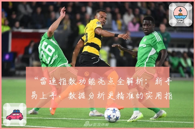 “雷速指数功能亮点全解析：新手易上手，数据分析更精准的实用指南”