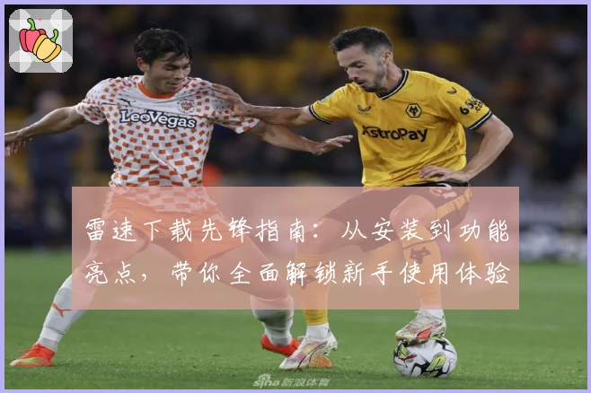 雷速下载先锋指南：从安装到功能亮点，带你全面解锁新手使用体验